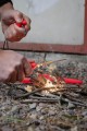 Spark_Emergency_e01.jpg_14478_c45736a1d4d439602e9bd903a3a294a6.jpg