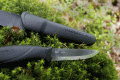 companion svart.gif