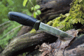 companion mg c.gif